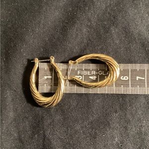 Oval hoop gold earings